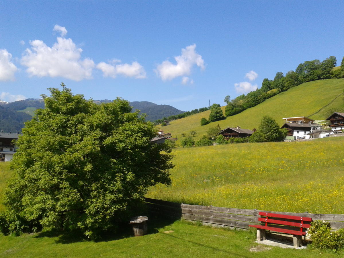 Pension Alpenstern Oberau Exterior foto